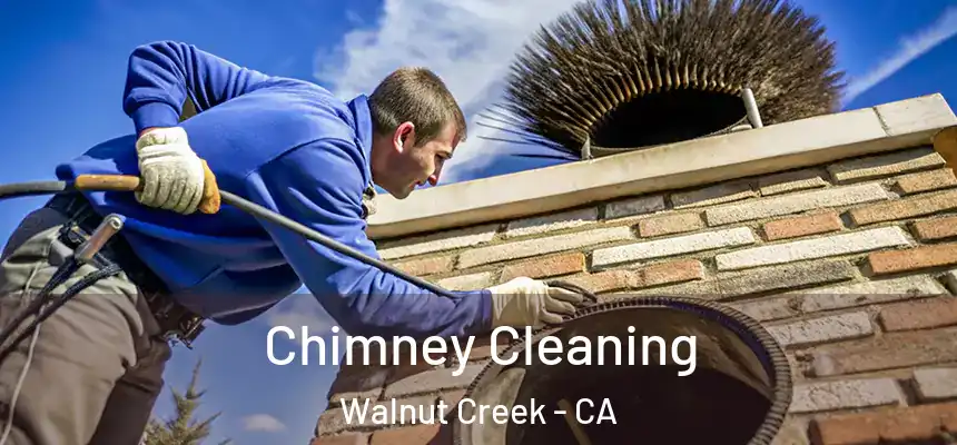 Chimney Cleaning Walnut Creek - CA