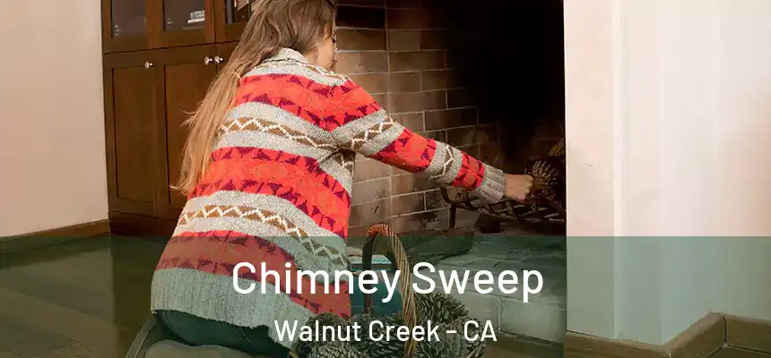  Chimney Sweep Walnut Creek - CA
