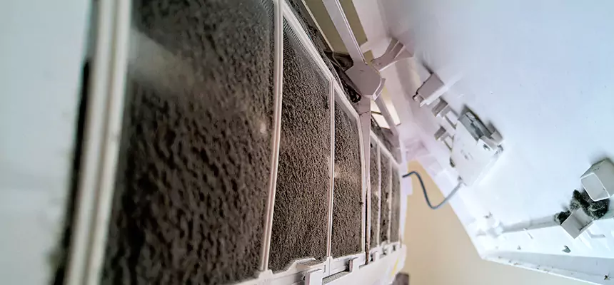 Preventive Air Duct Bacteria Removal in Walnut Creek