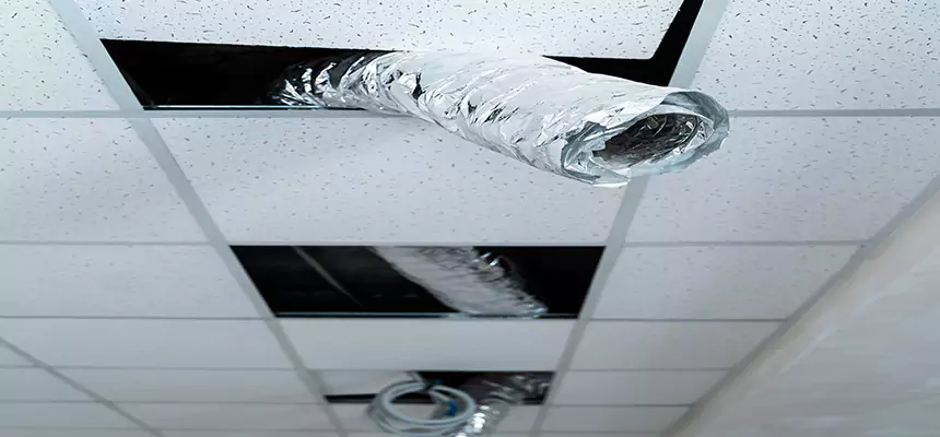 Affordable HVAC Sanitizing After Pest Removal in Walnut Creek