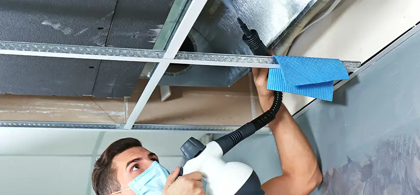 Our Air Duct Rodent Removal Services in Walnut Creek, CA