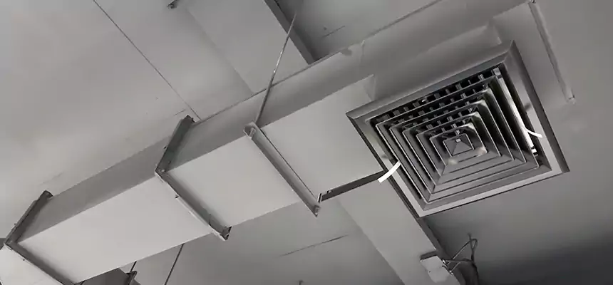 Our Rodent Droppings In Vents Services in Walnut Creek, CA