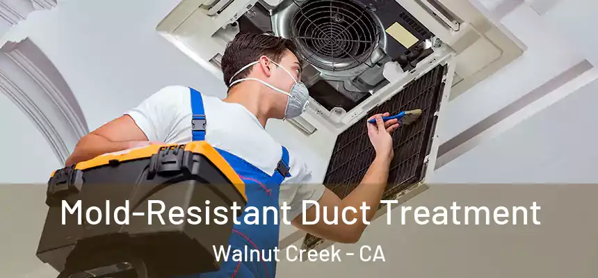  Mold-Resistant Duct Treatment Walnut Creek - CA