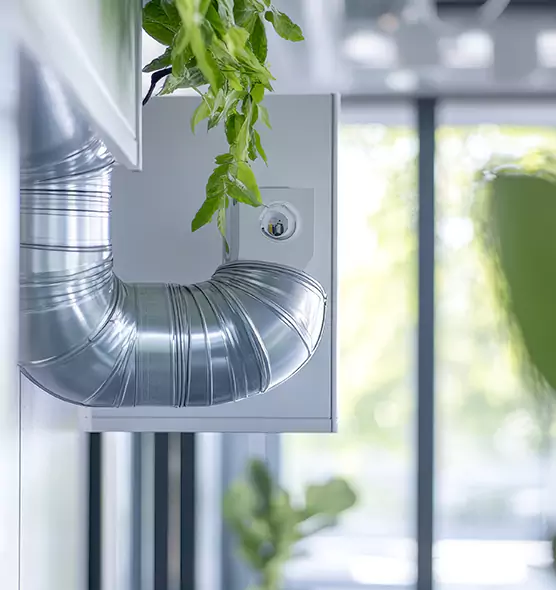 Professional Eco-Friendly Duct Cleaning Services in Walnut Creek, CA