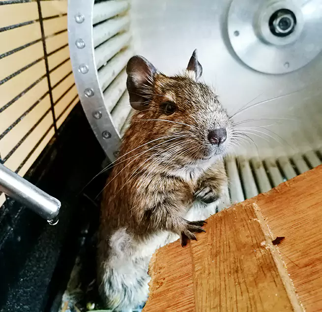 Why Homeowners & Businesses Trust Us Walnut Creek, CA