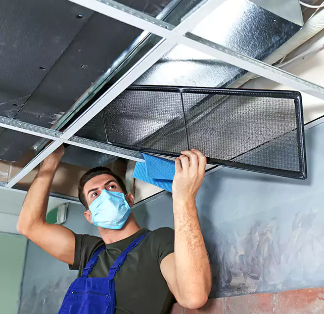 Why Homeowners Businesses Trust Us in Walnut Creek, CA