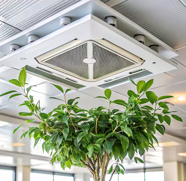 Why Homeowners & Businesses Trust Us in Walnut Creek, CA