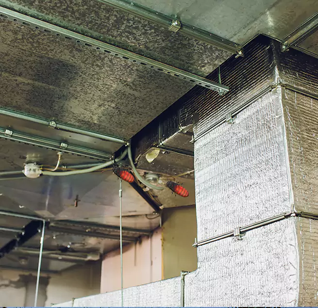 Why Homeowners & Businesses Trust Us Walnut Creek, CA?