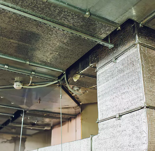 Why Homeowners & Businesses Trust Us in Walnut Creek, CA?